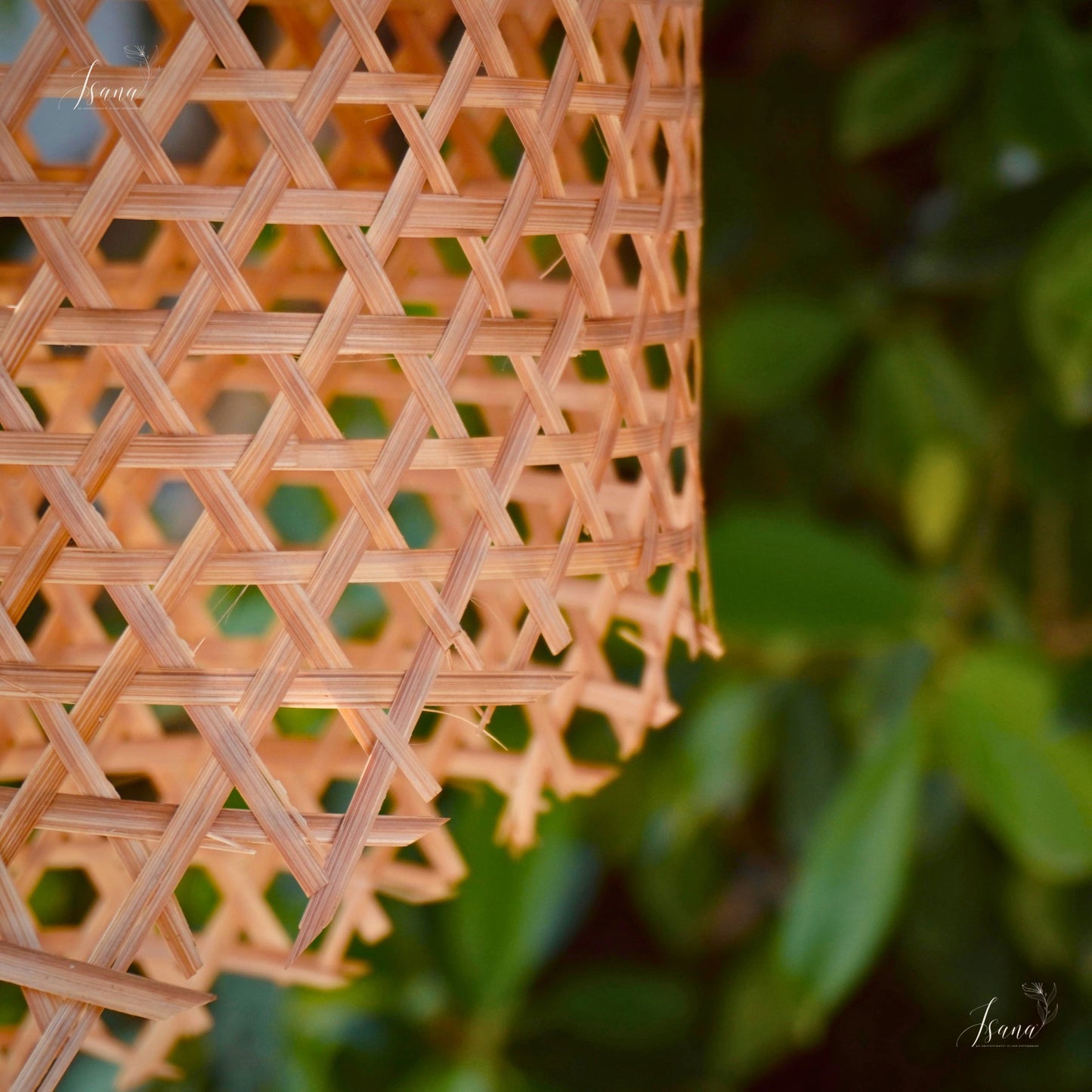 Isana PetiteBloom – Mini Bamboo Hanging Lamp (IBL 208)