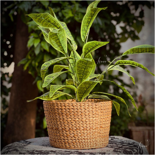 Sanlei Kauna Grass Planter