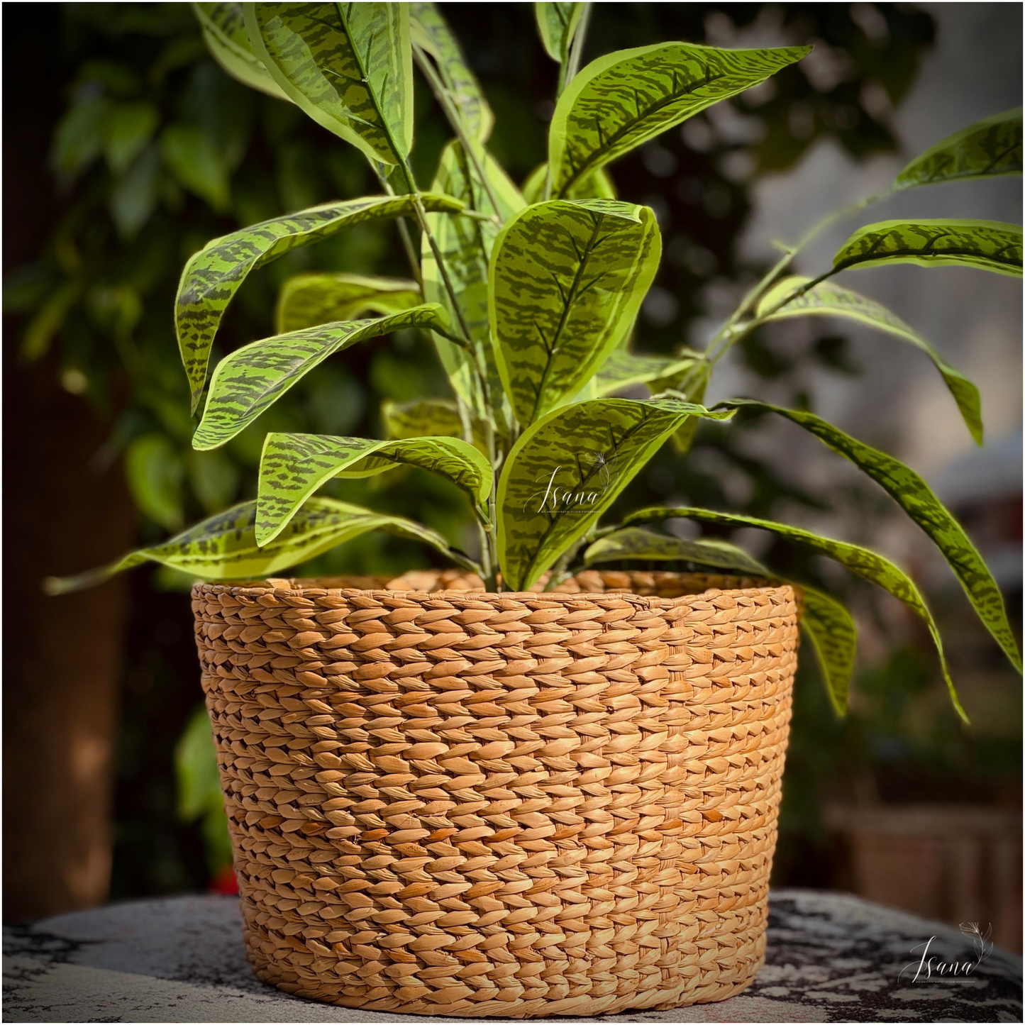 Sanlei Kauna Grass Planter