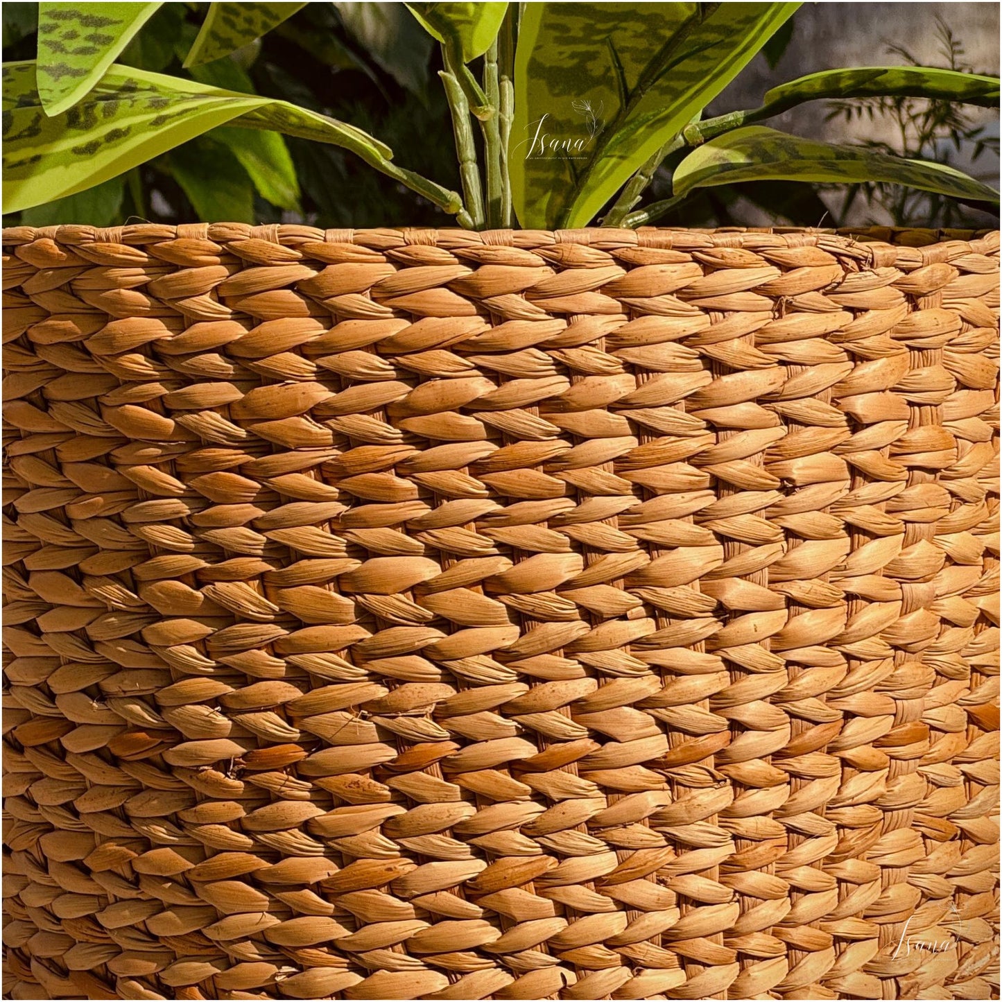 Sanlei Kauna Grass Planter