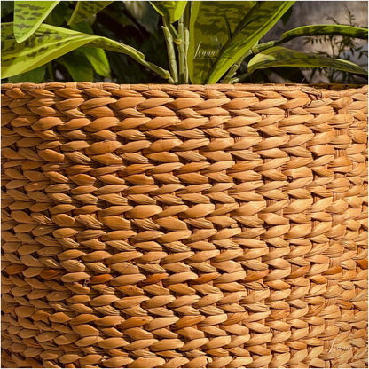 Sanlei Kauna Grass Planter