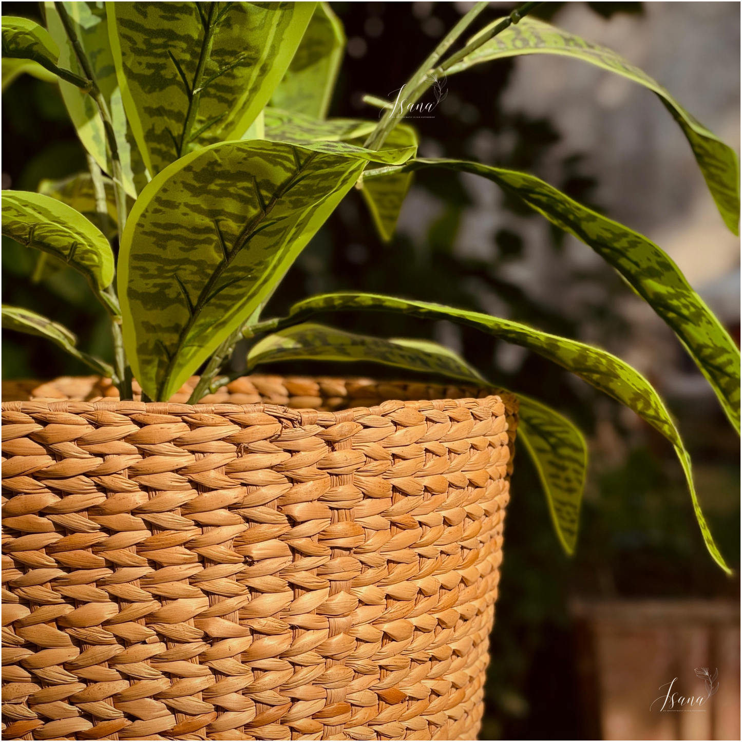 Sanlei Kauna Grass Planter
