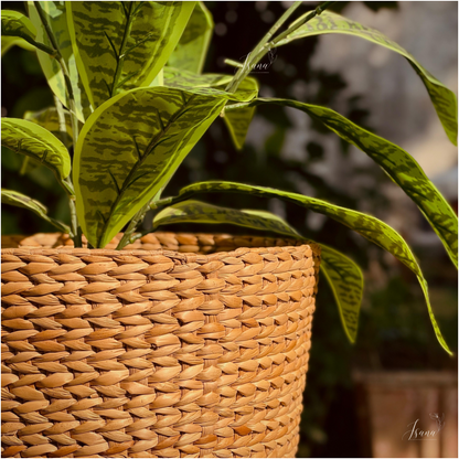 Sanlei Kauna Grass Planter