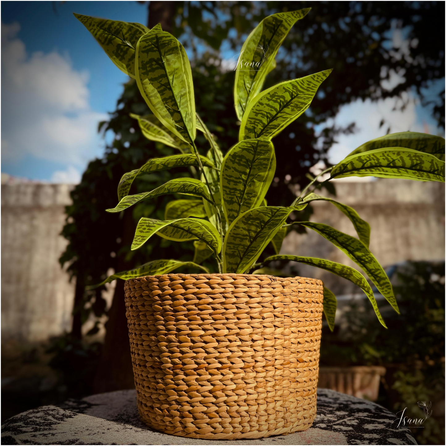 Sanlei Kauna Grass Planter