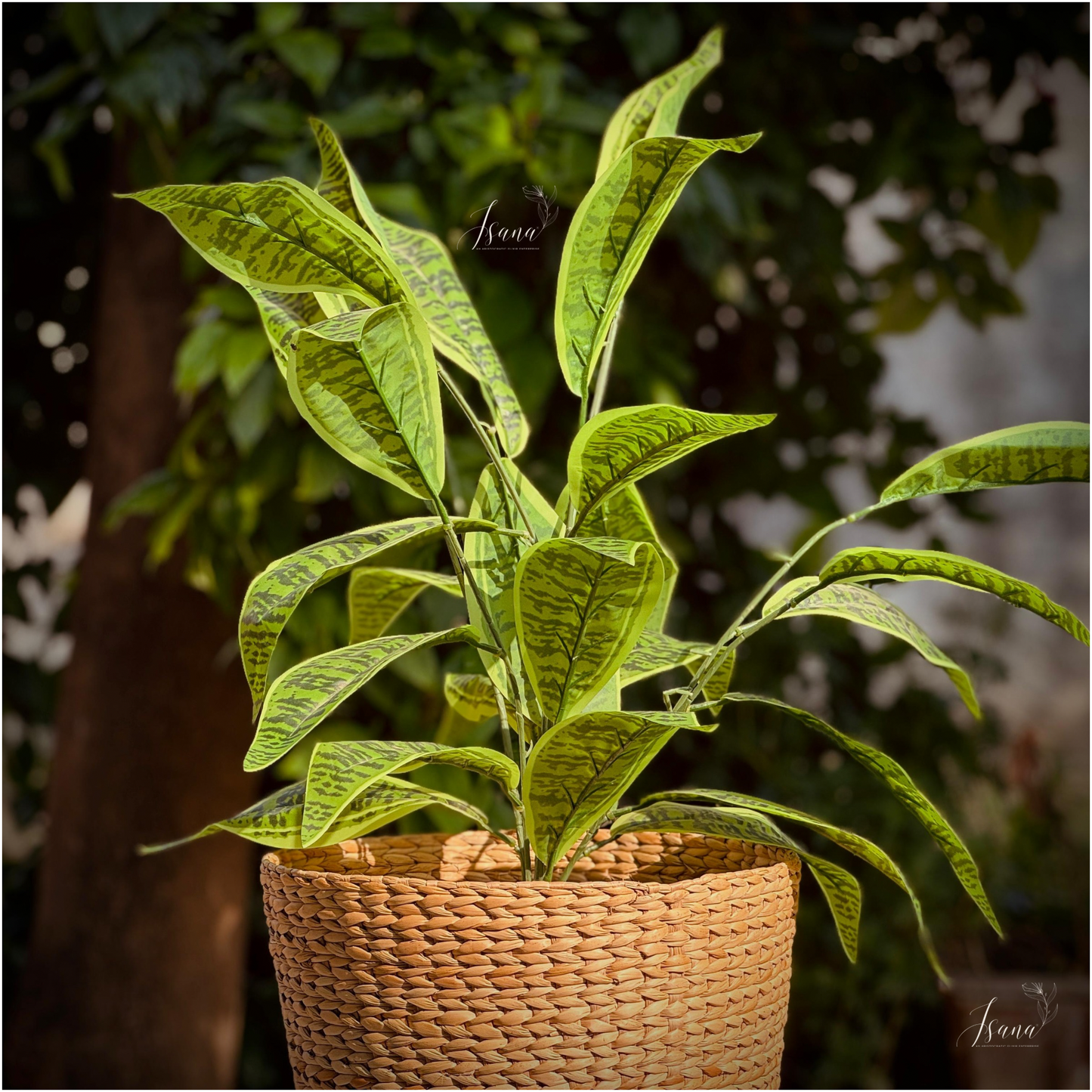 Sanlei Kauna Grass Planter