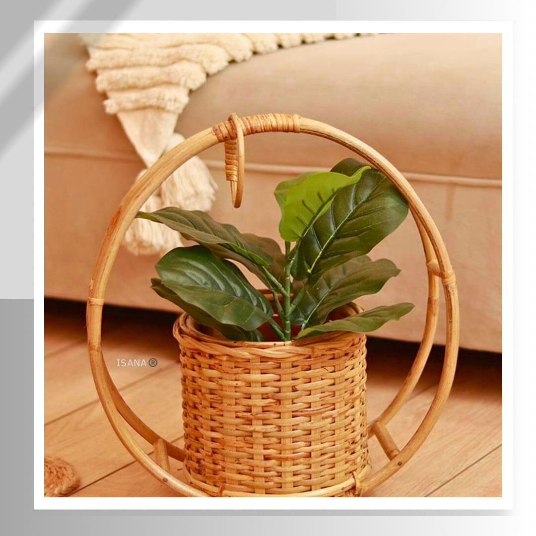 Decorative Hanging cane Planter