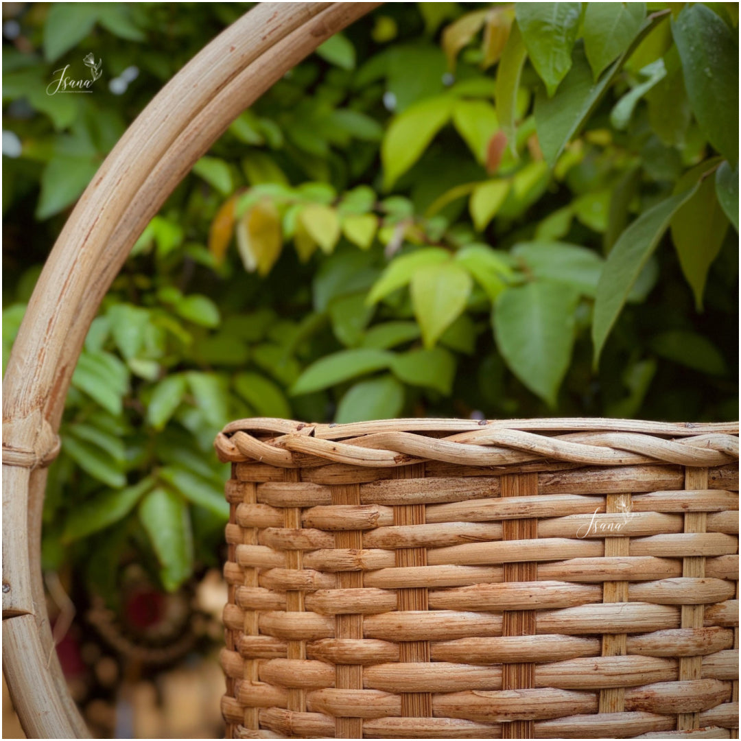 Decorative Hanging cane Planter