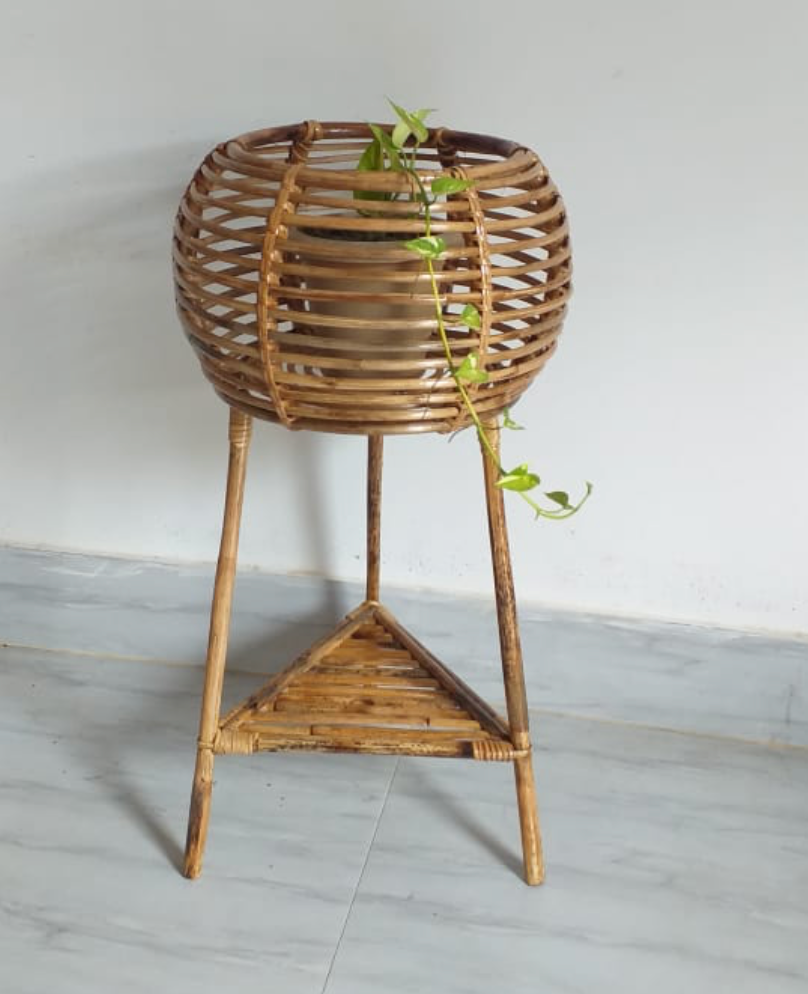 Cane Planter with Stand