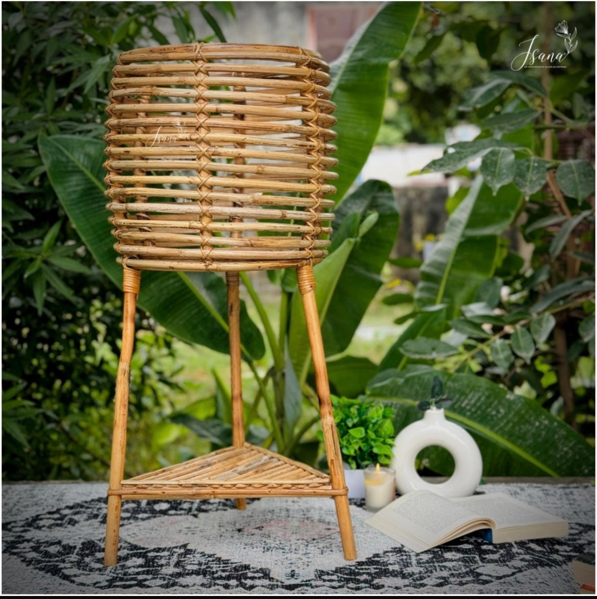 Cane Planter with Stand