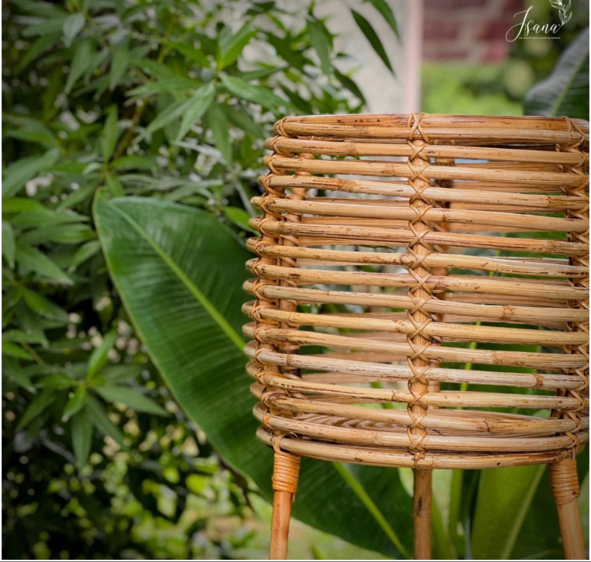 Cane Planter with Stand