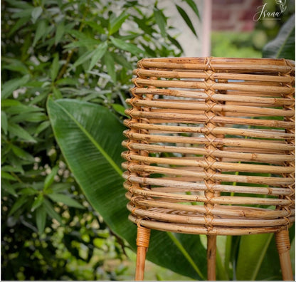 Cane Planter with Stand