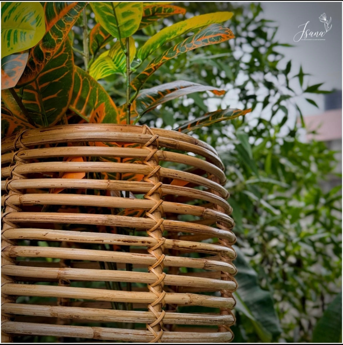 Cane Planter with Stand