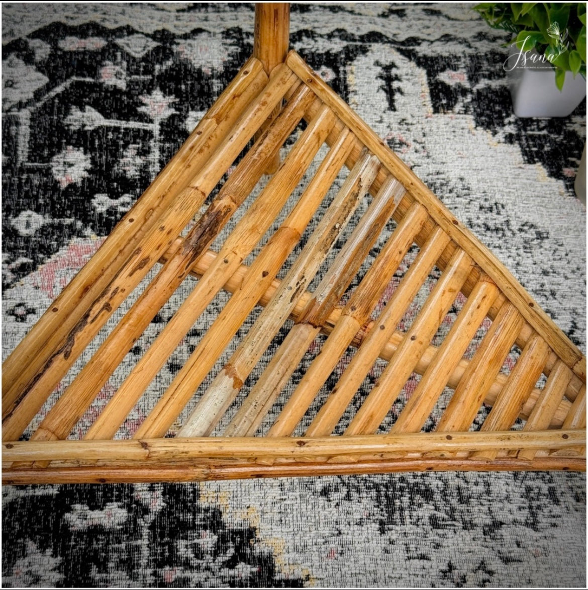 Cane Planter with Stand
