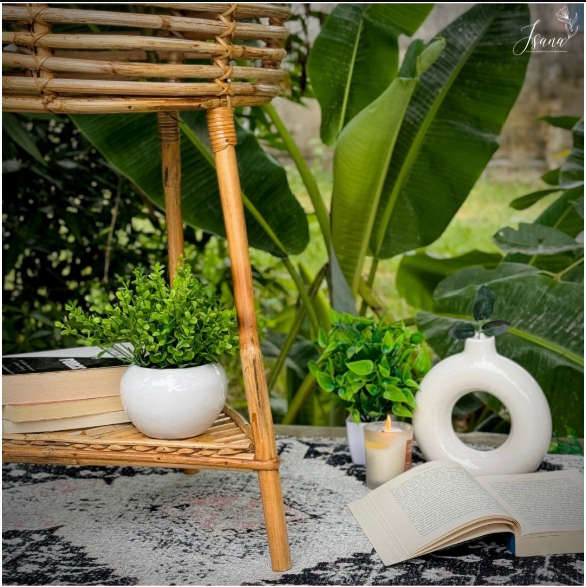 Cane Planter with Stand