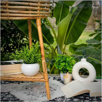 Cane Planter with Stand