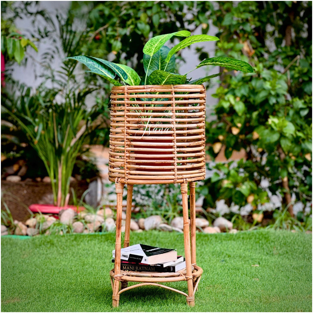 Cane Planter with Stand