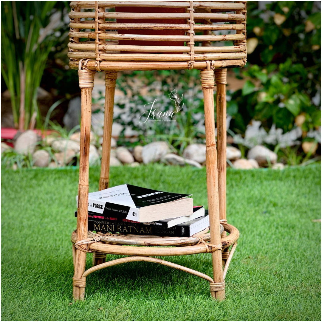 Cane Planter with Stand