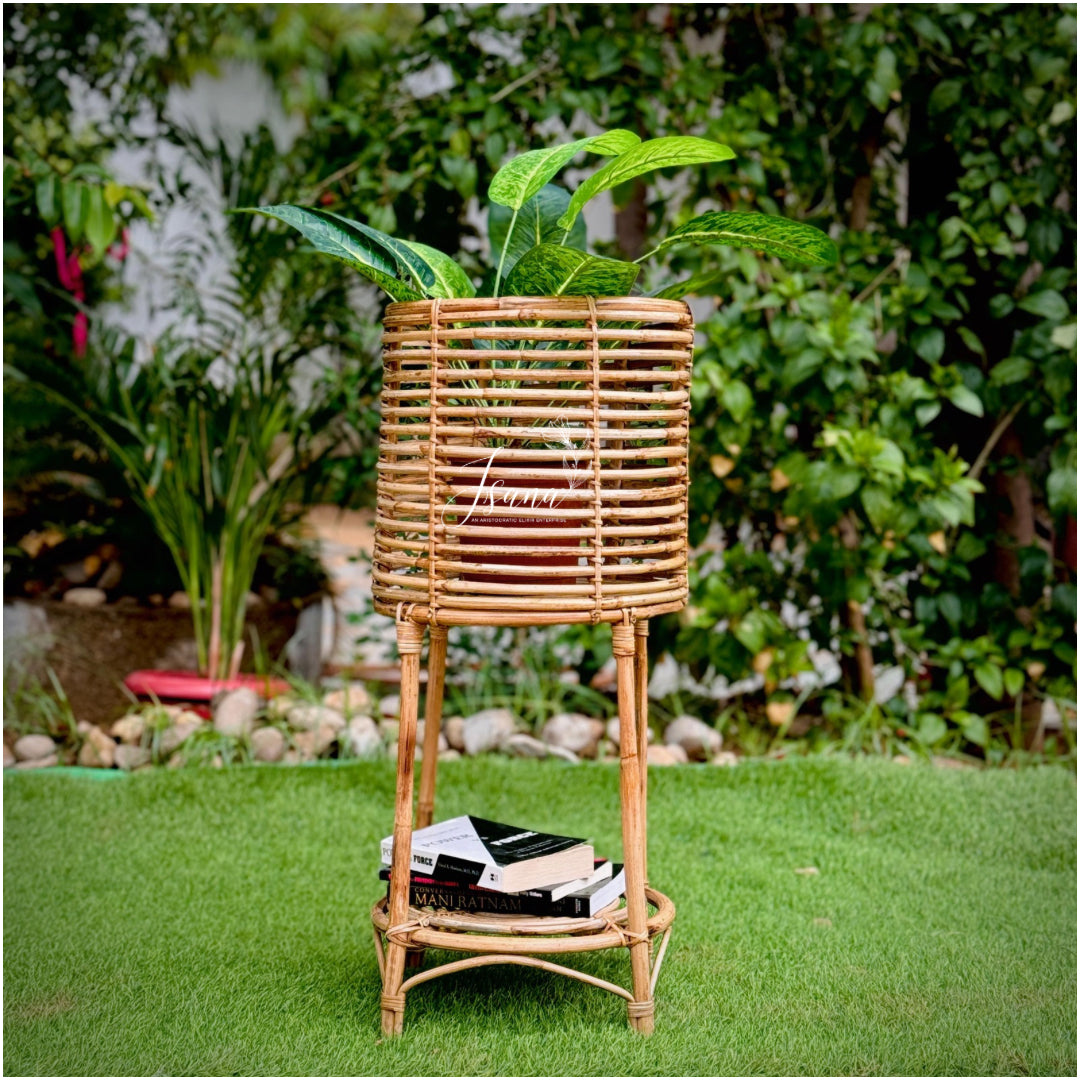 Cane Planter with Stand