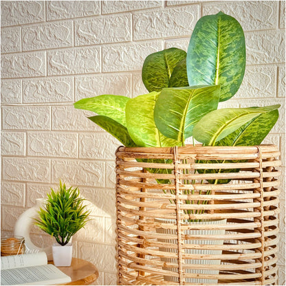 Cane Planter with Stand