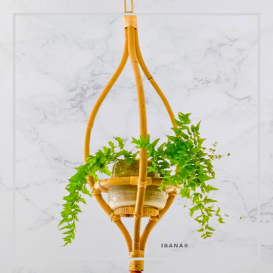 Geometric cane Planter