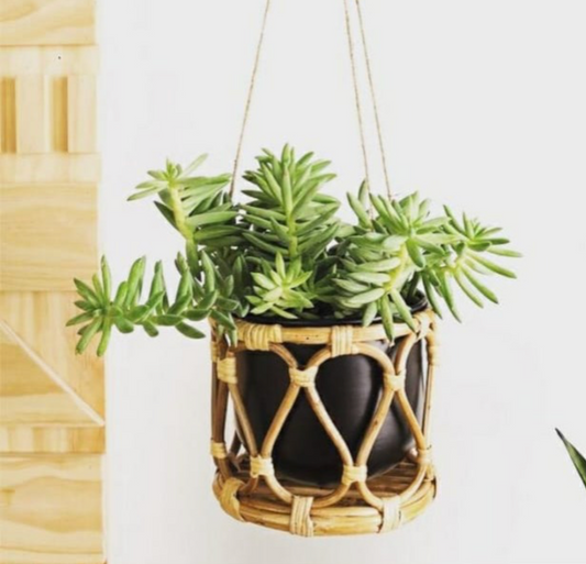 Decorative cane Planter
