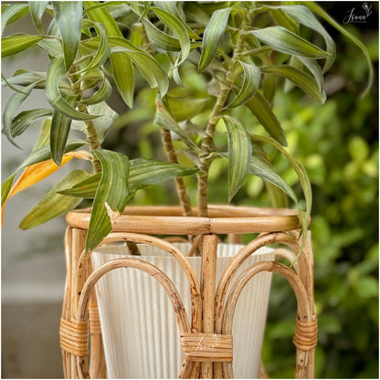 Decorative cane Planter