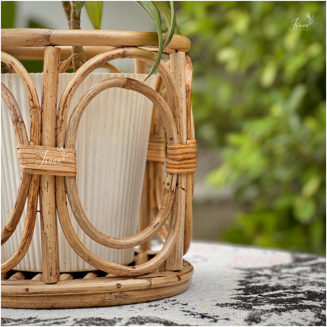 Decorative cane Planter