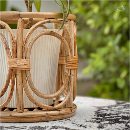 Decorative cane Planter