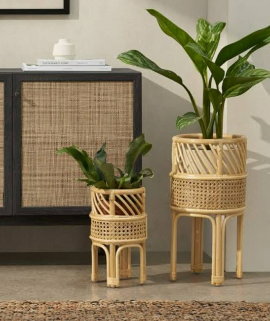 Cane Planter with Stand