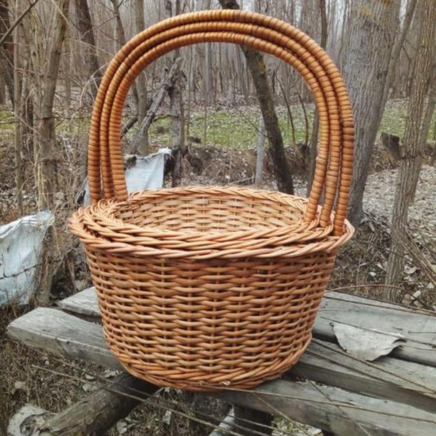 BloomSet Willow Baskets – With Handles (Set of 3)